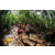 Team 108 / Raid Amazones Vietnam 2019 - J5 Trek
