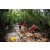 Team 136 / Raid Amazones Vietnam 2019 - J5 Trek