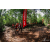 Team 11 / Raid Amazones Vietnam 2019 - J5 Trek