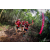 Team 48 / Raid Amazones Vietnam 2019 - J5 Trek