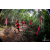 Team 69 / Raid Amazones Vietnam 2019 - J5 Trek