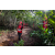 Team 60 / Raid Amazones Vietnam 2019 - J5 Trek