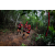 Team 104 / Raid Amazones Vietnam 2019 - J5 Trek