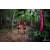 Team 20 / Raid Amazones Vietnam 2019 - J5 Trek