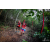 Team 22 / Raid Amazones Vietnam 2019 - J5 Trek