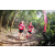 Team 47 / Raid Amazones Vietnam 2019 - J5 Trek