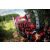 Raid Amazones Vietnam 2019 - J5 Trek