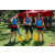 Raid Amazones Vietnam