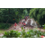 Raid Amazones Vietnam