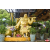 Raid Amazones Vietnam