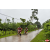 Raid Amazones Vietnam