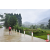 Raid Amazones Vietnam