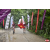 Raid Amazones Vietnam
