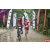 Raid Amazones Vietnam