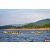 Raid Amazones Vietnam