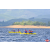 Raid Amazones Vietnam