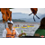 Raid Amazones Vietnam