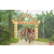 Raid Amazones Vietnam