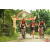 Raid Amazones Vietnam