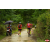 Raid Amazones Vietnam