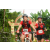 Raid Amazones Vietnam