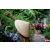 Raid Amazones Vietnam
