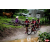 Raid Amazones Vietnam