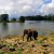 Sri Lanka 2022