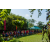 Raid Amazones Sri Lanka 2022