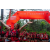 Raid Amazones Sri Lanka 2022 - J1 Trail