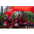 Raid Amazones Sri Lanka 2022 - J1 Trail