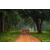 Raid Amazones Sri Lanka 2022 - J1 Trail