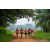 Raid Amazones Sri Lanka 2022 - J1 Trail