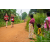 Raid Amazones Sri Lanka 2022 - J1 Trail