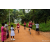 Raid Amazones Sri Lanka 2022 - J1 Trail