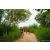 Raid Amazones Sri Lanka 2022 - J1 Trail