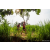Raid Amazones Sri Lanka 2022 - J1 Trail
