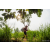 Raid Amazones Sri Lanka 2022 - J1 Trail