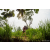 Raid Amazones Sri Lanka 2022 - J1 Trail
