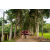 Raid Amazones Sri Lanka 2022 - J1 Trail