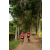Raid Amazones Sri Lanka 2022 - J1 Trail