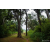 Raid Amazones Sri Lanka 2022 - J1 Trail