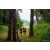 Raid Amazones Sri Lanka 2022 - J1 Trail