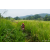 Raid Amazones Sri Lanka 2022 - J1 Trail