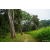 Raid Amazones Sri Lanka 2022 - J1 Trail