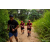 Raid Amazones Sri Lanka 2022 - J1 Trail