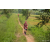 Team 10 / Raid Amazones Sri Lanka 2022 - J1 Trail