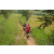 Team 04 / Raid Amazones Sri Lanka 2022 - J1 Trail