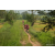 Team 324 / Raid Amazones Sri Lanka 2022 - J1 Trail