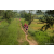 Team 306 / Raid Amazones Sri Lanka 2022 - J1 Trail